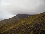 DSC09531.JPG