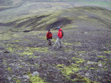 DSC09587.JPG