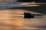 Jamaican sunset