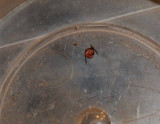 DSC_3290.jpg