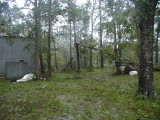 Hurricane Ike September 13, 2008
