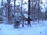 Snow 12-10-08  016.jpg