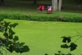 Patriotic Pond Seating (33)