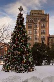 The Chester County Christmas Tree (26)