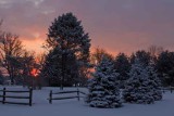 Backyard Sunrise - January 12th