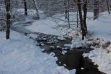 Snowy Creek