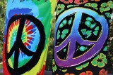 The Ubiquitous Peace Sign