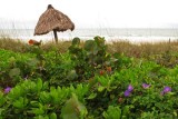 A Bicycle Day in Naples, Florida - February 11, 2012
