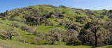 010 Pano  Green hills from McCorkle Trail_8077,80,3,6,9,92#2PsLrLr`0903231213.jpg