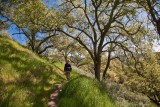 011 Dee on Serpentine Loop trail_8197Lr`0903301042.jpg