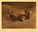 Tule gatherer - Cowichan