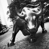 Charging Bull