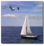 The Essence of Sailing