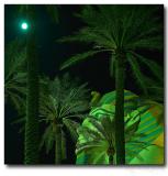 Egyptian Night /Luxor Sphinx at full moon night/, Las Vegas