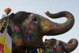 Elephant Festival painted elephants in parade.jpg