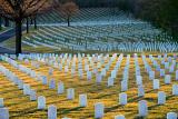 Baltimore National Cemetery