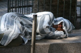 Siesta time