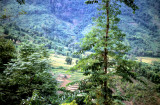 Scenery in Luang Prabang Province