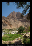 Wadi Arbean - Qurayat