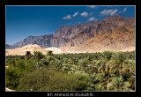 Wadi Dyqah