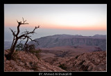 Salmah Plateau -  The White Mountain