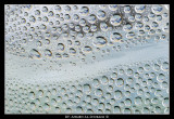 Water Drops