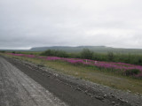 IMG_3355.JPG