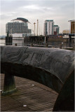 The Celtic Ring in Cardiff Bay