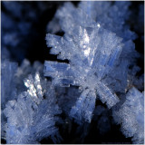 31/12 Lovely tiny ice crystal from todays walk