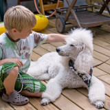 10/8 That kiddo knows how to scratch a dog.