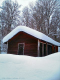 Snowy barn from dogwalk on New Years Day