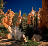 Hoodoos in Time