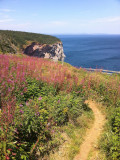 cliff-edge trail