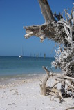 Cape Romano, Fl