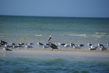 Naples, Florida