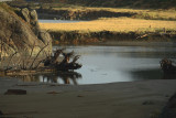 Mouth of Hunter Creek at the Pacific