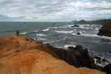 IMG_8303.jpg