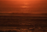 Bronze Hues on Sea