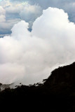 Clouds over Montane Forest