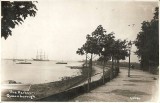 The Harbour