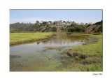 San Elijo Lagoon