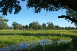 Wakawaka Lagoon