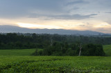 Distant view on Rwenzori