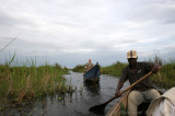 Mabamba Wetlands