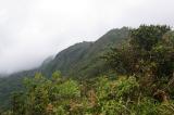 Monteverde NP