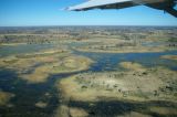 Okavango delta