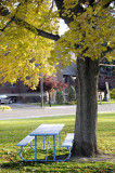 Fall at Caldwell Park _DSC0384.jpg