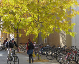 ISU campus autumn scene IMG_0478.jpg