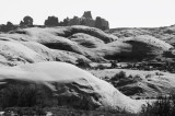 Petrified Dunes _DSC2809.jpg