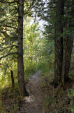 Scout Mountain Nature Trail _DSC2497.jpg
